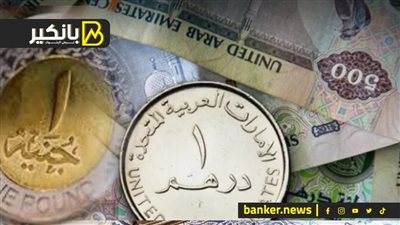 سعر الدرهم الاماراتي أمام الجنيه المصري في تعاملات اليوم الجمعة 17-11-2023