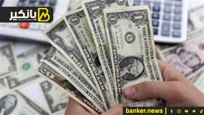 كنز مصري جاب 4 مليار دولار للحكومة في 10 شهور بجرة قلم