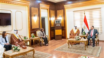وزير المالية لنظيره البحريني: نتطلع إلى تعزيز مسيرة التعاون الثنائي اقتصاديًا وعلميًا وتكنولوجيًا