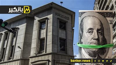 قرارات جديدة من البنك المركزي المصري لحل أزمة الدولار والقضاء على السوق السوداء