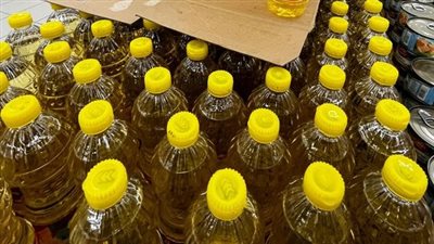 33 مليار جنيه حجم التمويل الاستهلاكي في مصر خلال 9 أشهر من 2023