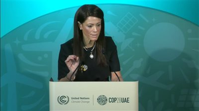 وزيرة التعاون الدولي: تمويل المناخ لم يصل للمستوى المطلوب