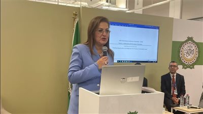 التخطيط: القطاع الخاص يستثمر 4.4 مليار دولار بمشروعات الطاقة المتجددة في مصر