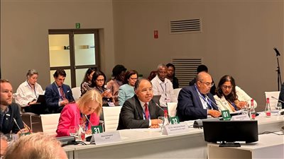 وزير المالية يؤكد أهمية تطوير الهيكل المالي العالمي لتيسير التمويل الأخضر بالدول النامية