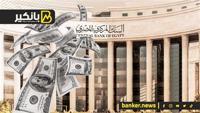 مصر محتاجة كام مليار دولار عشان تحل أزمة نقص العملة الأجنبية؟