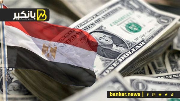 الدولار