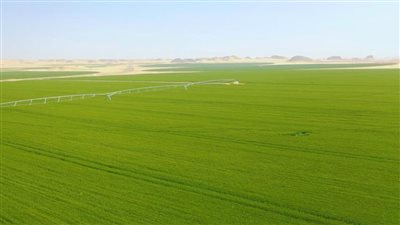 مشروع مصر العملاق .. أكبر مجمع لصناعات الأغذية الزراعية في الشرق الأوسط