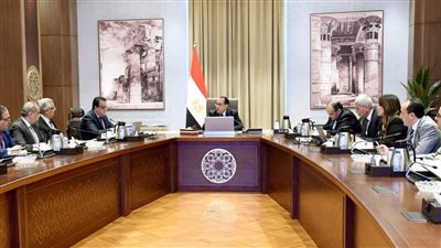 مدبولي: مُستعدون لتقديم أي حوافز أو تيسيرات لشركات تصنيع الأدوية والمستلزمات الطبية