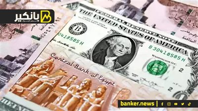 سعر الدولار أمام الجنيه المصري في تعاملات اليوم الخميس 11-1-2024