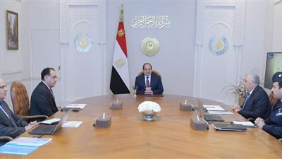 السيسي يوجه بخفض مخاطر الاستثمار وتقديم الدعم للمستثمرين