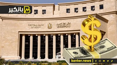 مسؤول حكومي سابق: التعويم هو الحل الوحيد للقضاء على السوق السوداء