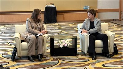 التخطيط: مصر تمتلك 11,960 سهما برأس مال 1,196 مليون دولار  في بنك التنمية الجديد