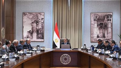 مدبولي يوجه بضرورة وضع خطة لإنتاج 100 طن من الحرير سنويا