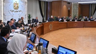 الحكومة تقرر وقف التمويلات الخارجية وقروض المشروعات