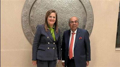 وزيرة التخطيط تبحث فرص الاستثمار مع رئيس مجموعة 