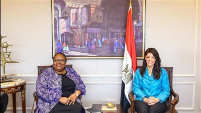 المشاط تبحث تعزيز الشراكة الاستراتيجية مع مؤسسة التمويل الدولية IFC لتمكين القطاع الخاص