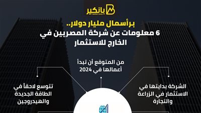 برأسمال مليار دولار.. 6 معلومات عن شركة المصريين في الخارج للاستثمار