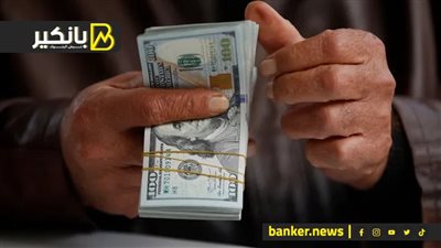 ضبط 31 قضية اتجار بالعملات الأجنبية في 24 ساعة.. الأمن يُحاصر السوق السوداء 