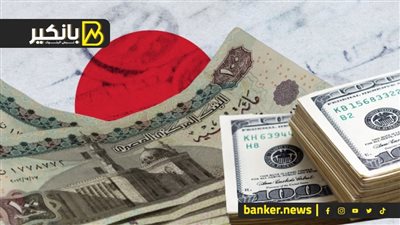 الدولار يواصل الارتفاع أمام الجنيه