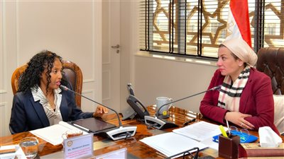 المديرة الإقليمية بالبنك الدولي: مصر شريك أساسي بالمنطقة في ملف المناخ والبيئة