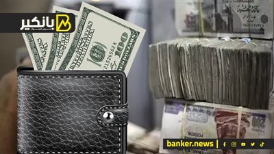 انتهاء أزمة الدولار في مصر خلال أيام.. بنك عالمي يتوقع انتعاشة اقتصادية كبرى