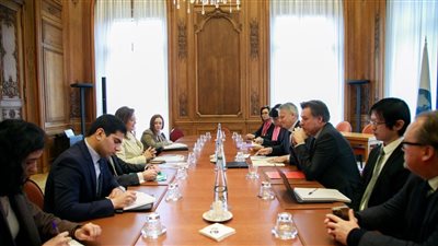 وزيرة التخطيط تبحث تعزيز التعاون مع الأمين العام لمنظمة التعاون الاقتصادي