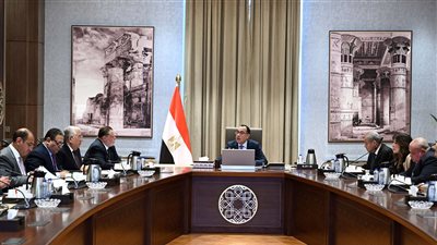 الوزراء: انخفاض أسعار الذرة وفول الصويا.. ومتابعة مستمرة لحركة الأسواق