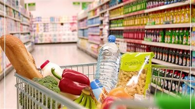 الأسعار هتنزل.. «سيستم التتبع» كلمة السر للقضاء على المحتكرين