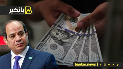 3 إجراءات عاجلة من السيسي تقضي على أزمة الدولار في مصر
