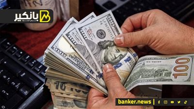 حكاية الـ2 مليار و 325 مليون دولار اللي دخلو المركزي في صمت.. إيه اللي حصل