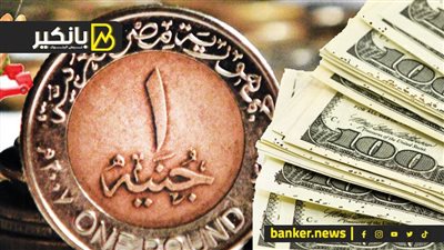 سعر الدولار أمام الجنيه المصري في تعاملات اليوم الثلاثاء 5-3-2024