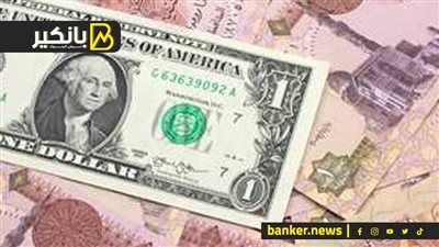 الدولار يرتفع 20 جنيهًا في البنوك بنهاية أول يوم من تحرير سعر الصرف