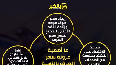 ما أهمية مرونة سعر الصرف بالنسبة لمصر؟