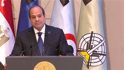 فكرة السيسي.. هيئة الشراء الموحد.. كيف تقضي على غلاء الأسعار وتوفر العملة الصعبة؟