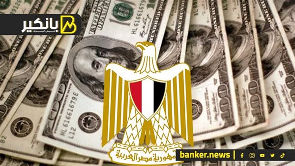 الدولار
