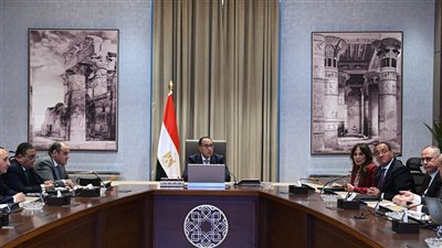 مدبولي: جهود متواصلة بالتعاون مع البنك المركزي المصري لسرعة الإفراج عن البضائع