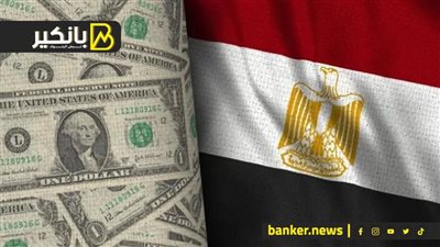 1.3 مليار جنيه قيمة التنازلات عن النقد الأجنبي في مصر للصرافة خلال 12 يوما
