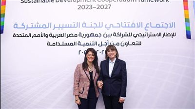 المشاط: تنفيذ برامج تعاون وتدخلات بمنح تنموية قيمتها 178 مليون دولار