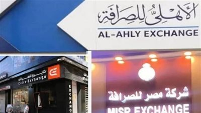 3 شركات تجتذب 7.517 مليار جنيه منذ تحرير سعر الصرف