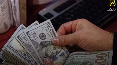 هل تفتح الحكومة باب التوبة لتجار السوق السوداء ؟