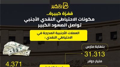 قفزة كبيرة.. مكونات الاحتياطي النقدي الأجنبي تواصل الصعود الكبير