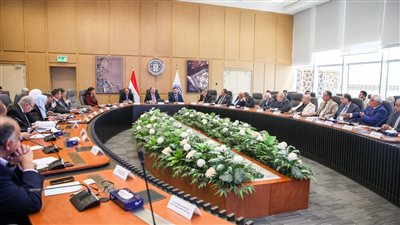 وزير المالية: إنشاء لجان ضريبية وجمركية بمقرات المستثمرين لحل مشاكلهم فى أماكن تواجدهم