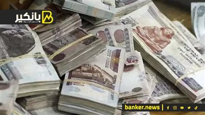 لو معاك 30 الف جنيه.. هتاخذ مكسب 8100 جنيه كل سنة شوف الطريقة ازاي