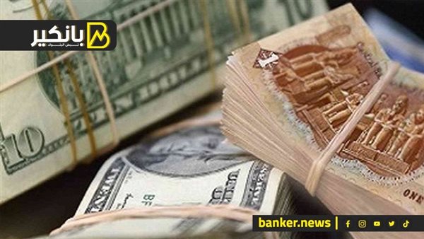 سعر الدولار اليوم