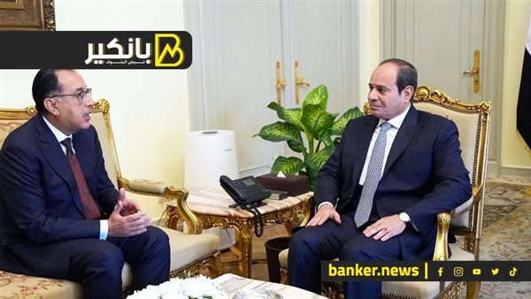 الرئيس السيسي والدكتور