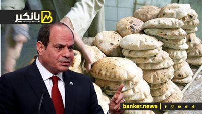 معركة السيسي لتأمين رغيف العيش للمصريين.. شوف اللي بيحصل