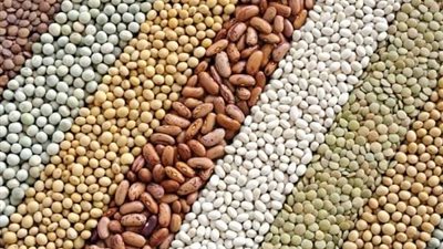 الحكومة المصرية تعلق على أنباء إستيراد 