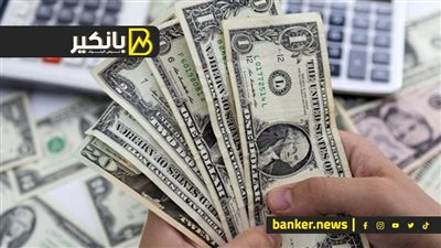 مصادر: حصيلة بيع وشراء الدولار في