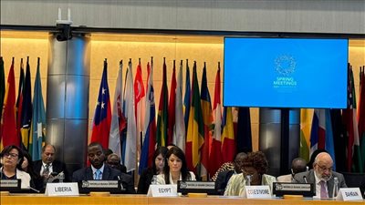 المشاط: يجب على البنك الدولي تشجيع القطاع الخاص على تمويل أنشطة التكيف مع المناخ