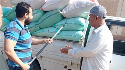 البنك الزراعي المصري يبدأ استلام محصول القمح من المزارعين والموردين في 190 موقع على مستوى الجمهورية